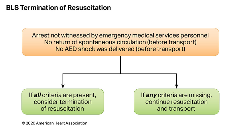 Algorithm BLS Termination of Resuscitation 200612 illustration BLS Termination of Resuscitation